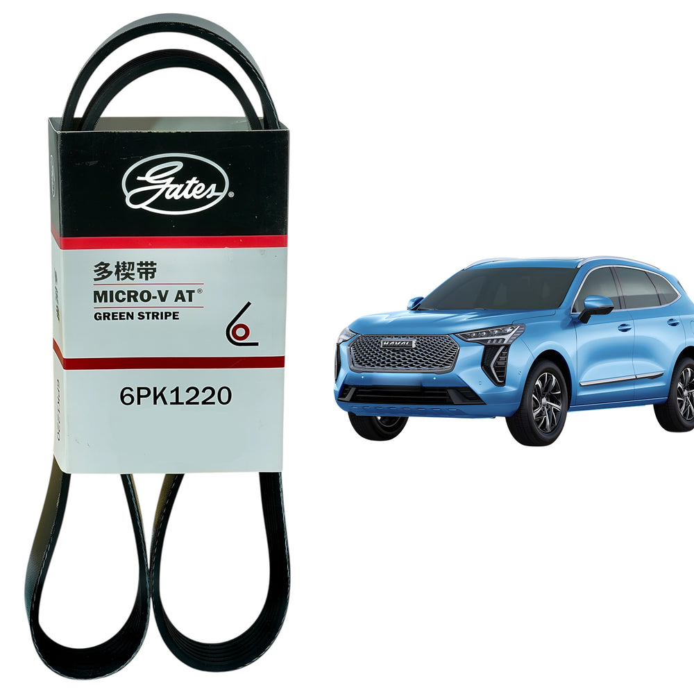Correa de Alternador Original Gates Haval Jolion 1.5cc