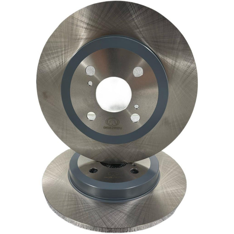 Discos De Freno Great Wall Voleex C30 (el Par Trasero)