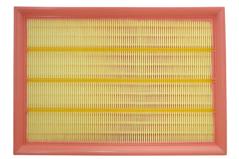 Filtro de Aire Peugeot Landtrek 1.9cc Diesel