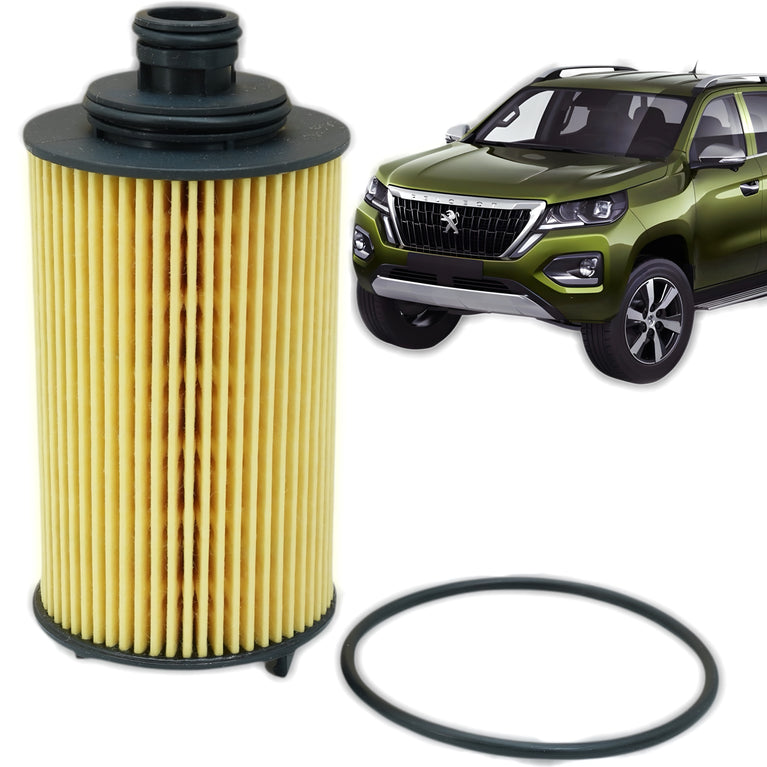 Filtro de Aceite Peugeot Landtrek 1.9cc Diesel OEM