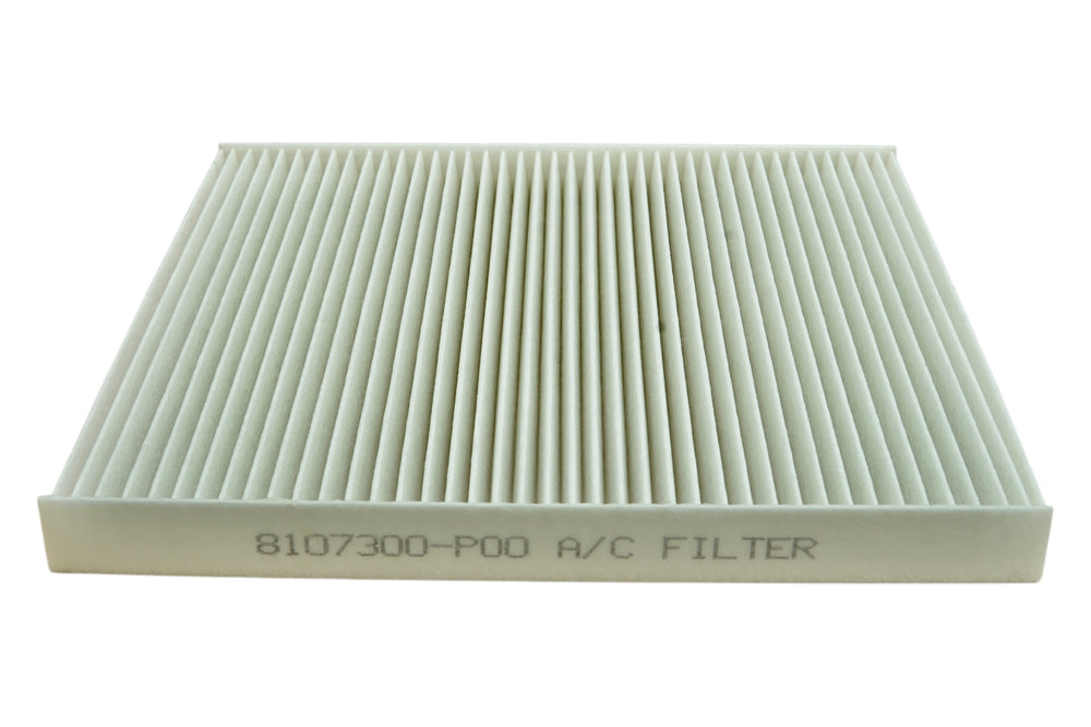 Filtro de Polen A/C Great Wall Wingle 6
