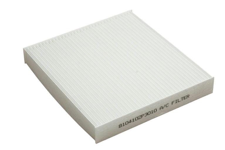 Filtro de Polen AC Jac T8 Premium